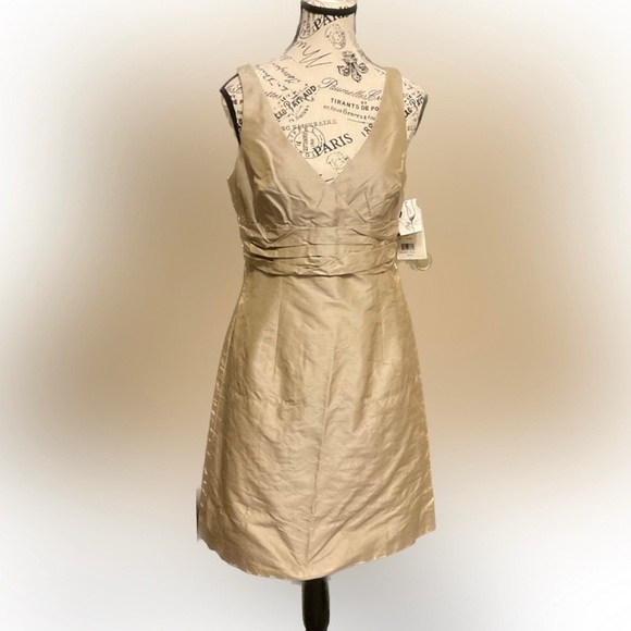 white christmas dresses Nicole Maxi Dress, in Champagne Luxe Satin, Size: Xs | Show Me Your Mumu main image 1